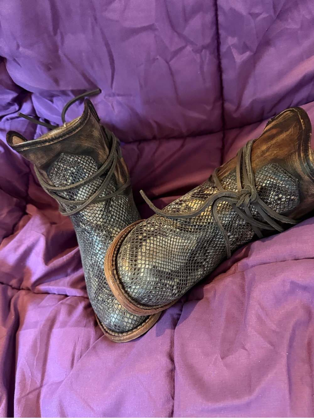 Freebirds blue snake multi Leather Ankle Boots - Picture 3 of 4